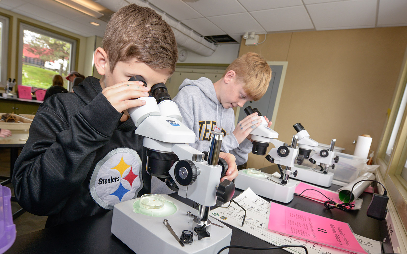 Two boys look in microscopes