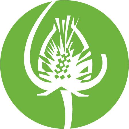 touchstone center for craft logo