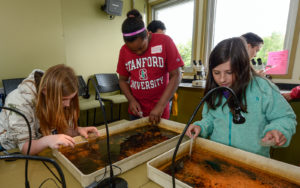 Students examine macroinvertebrates.