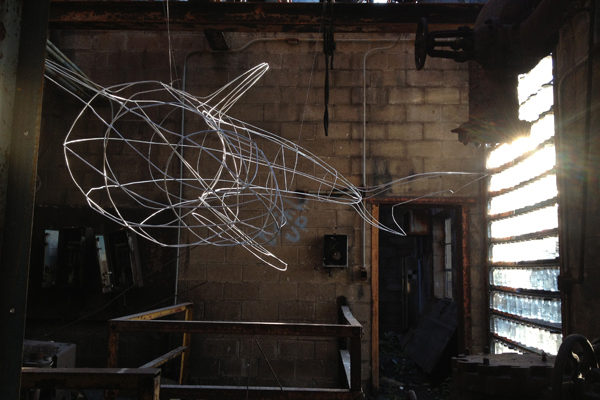 Groat_Shark_1 Groat_Shark_1