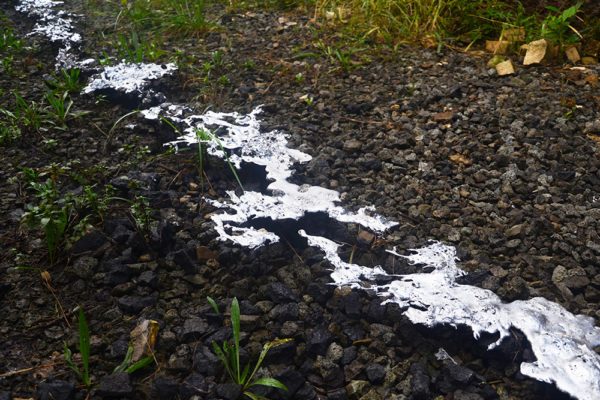 DSC_1864 DSC_1864