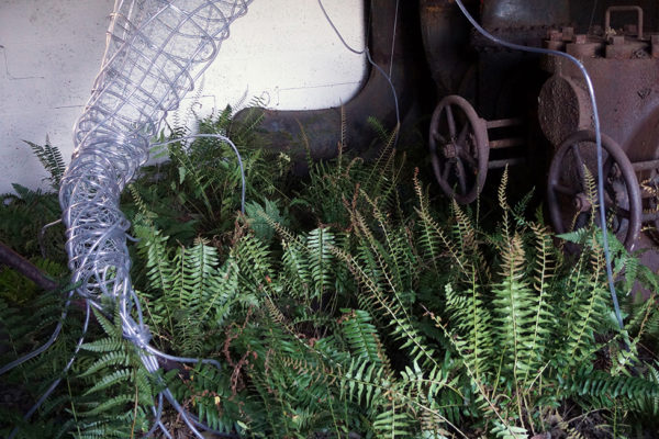 colebaugh detail photo of michelle colbaugh's installation during alloy pittsburgh 2013