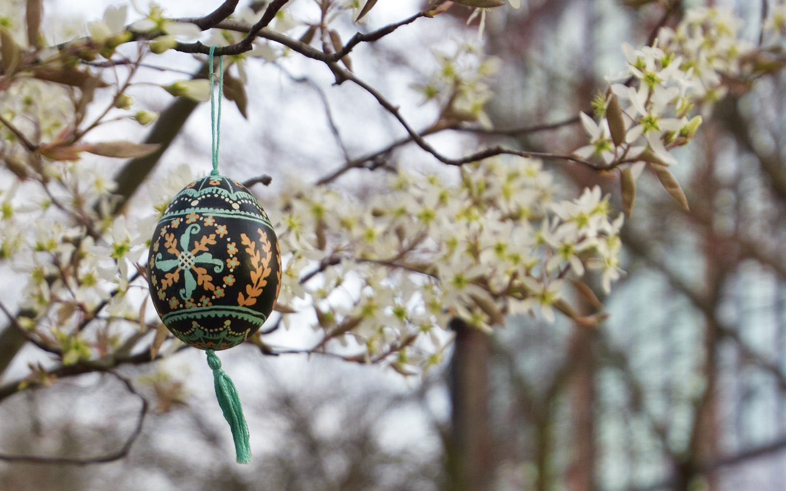 Pysanky Egg in a Tree