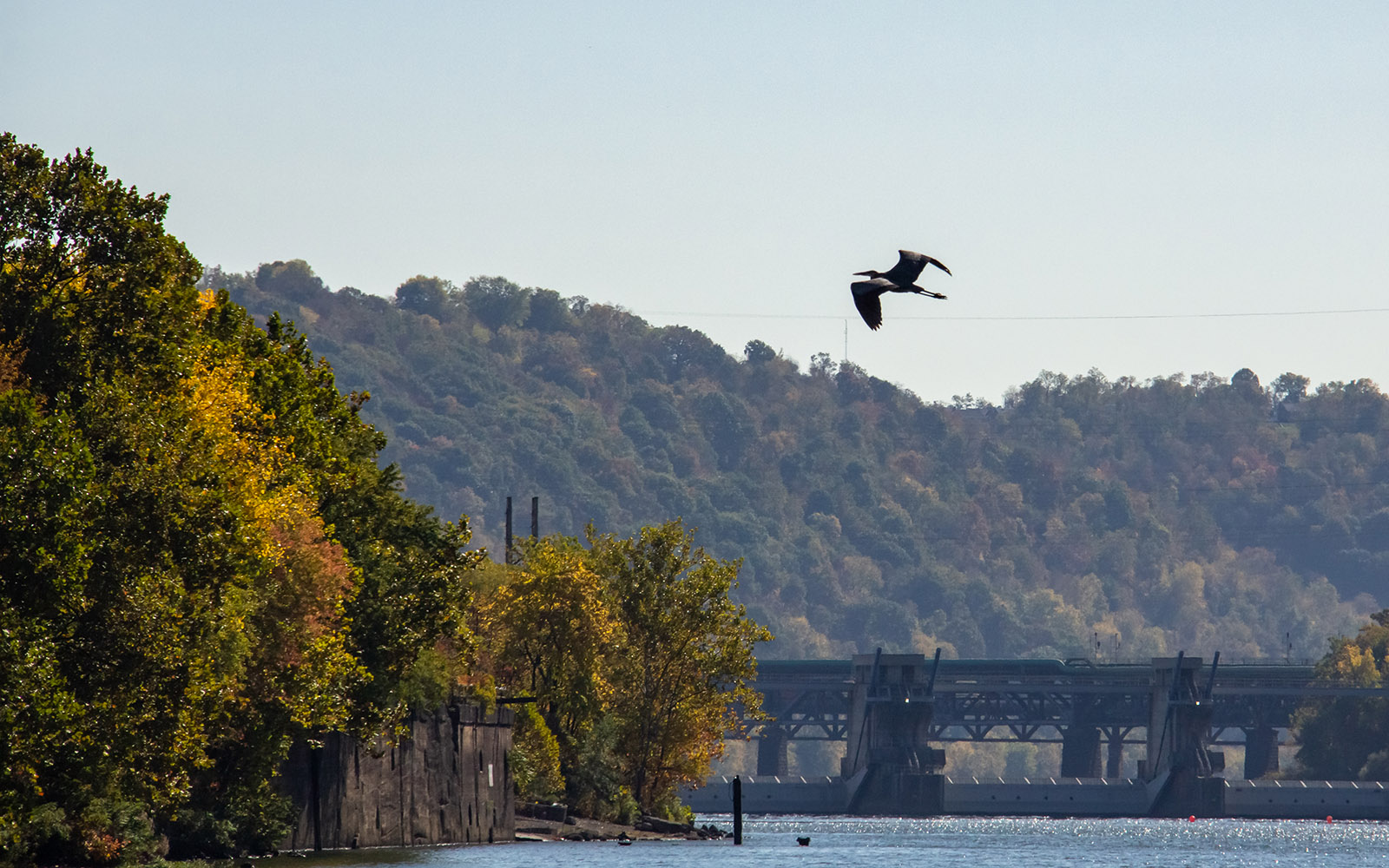 Crane in Mon River Valley