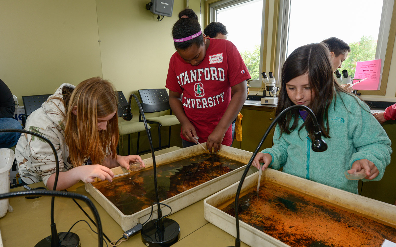 macroinvertebrate lab
