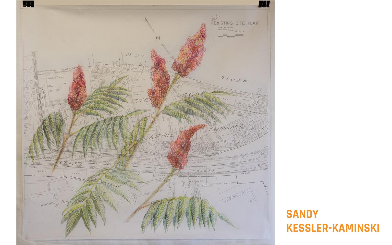 A drawing of a staghorn sumac in bloom over an architectural drawing of the carrie furnace site