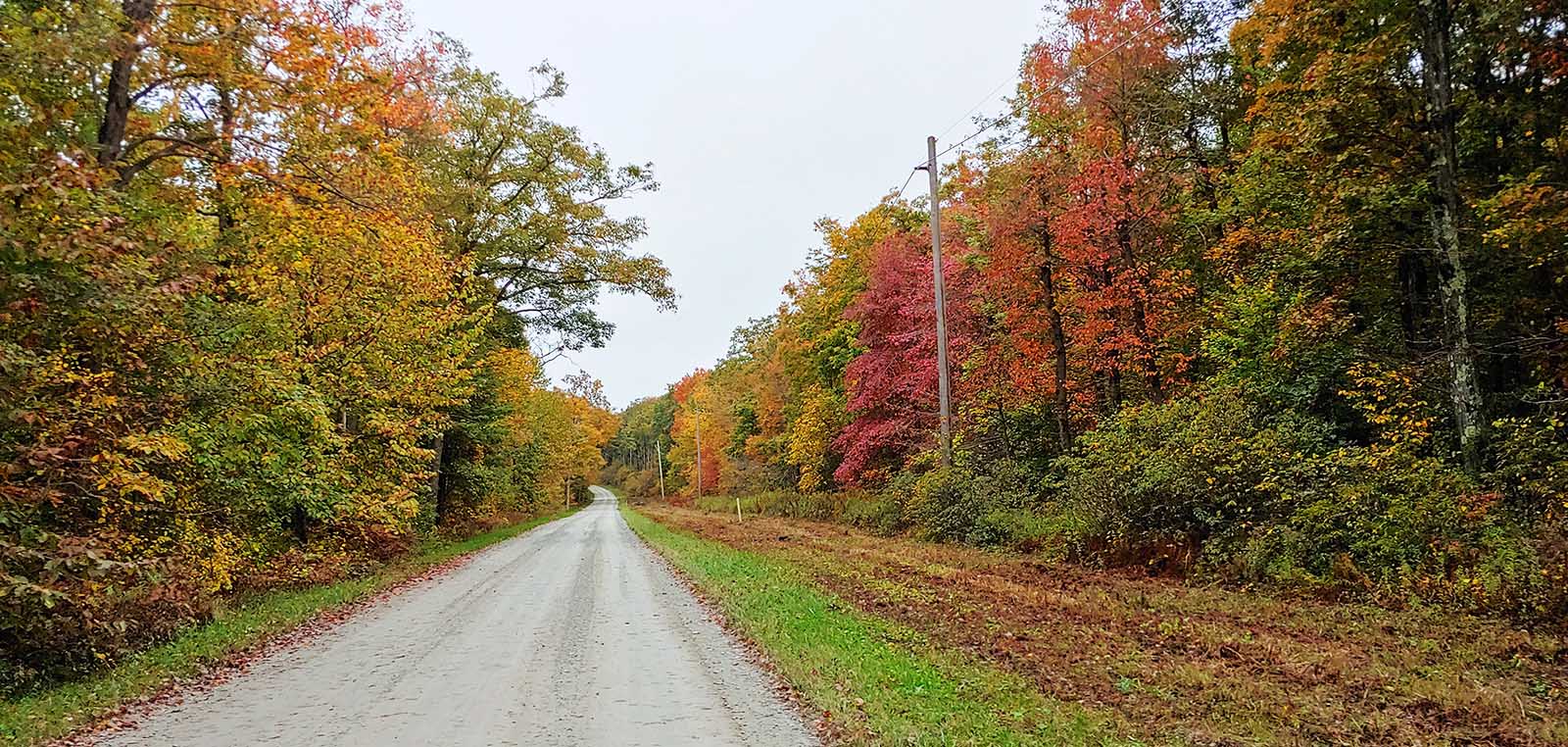A gravel road with trees in fall colors