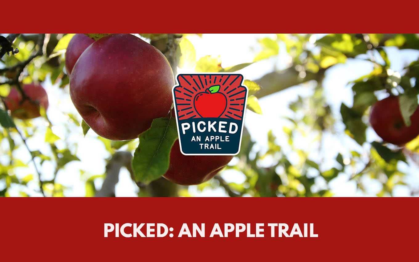 Red apples on a tree with text reading Picked An Apple Trail
