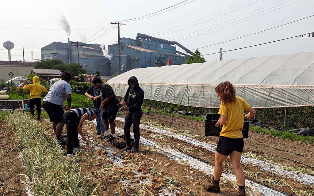 A group of teens harvest onions at Braddock Farms and the Edger Thompson Steel Mill is seen in the background.