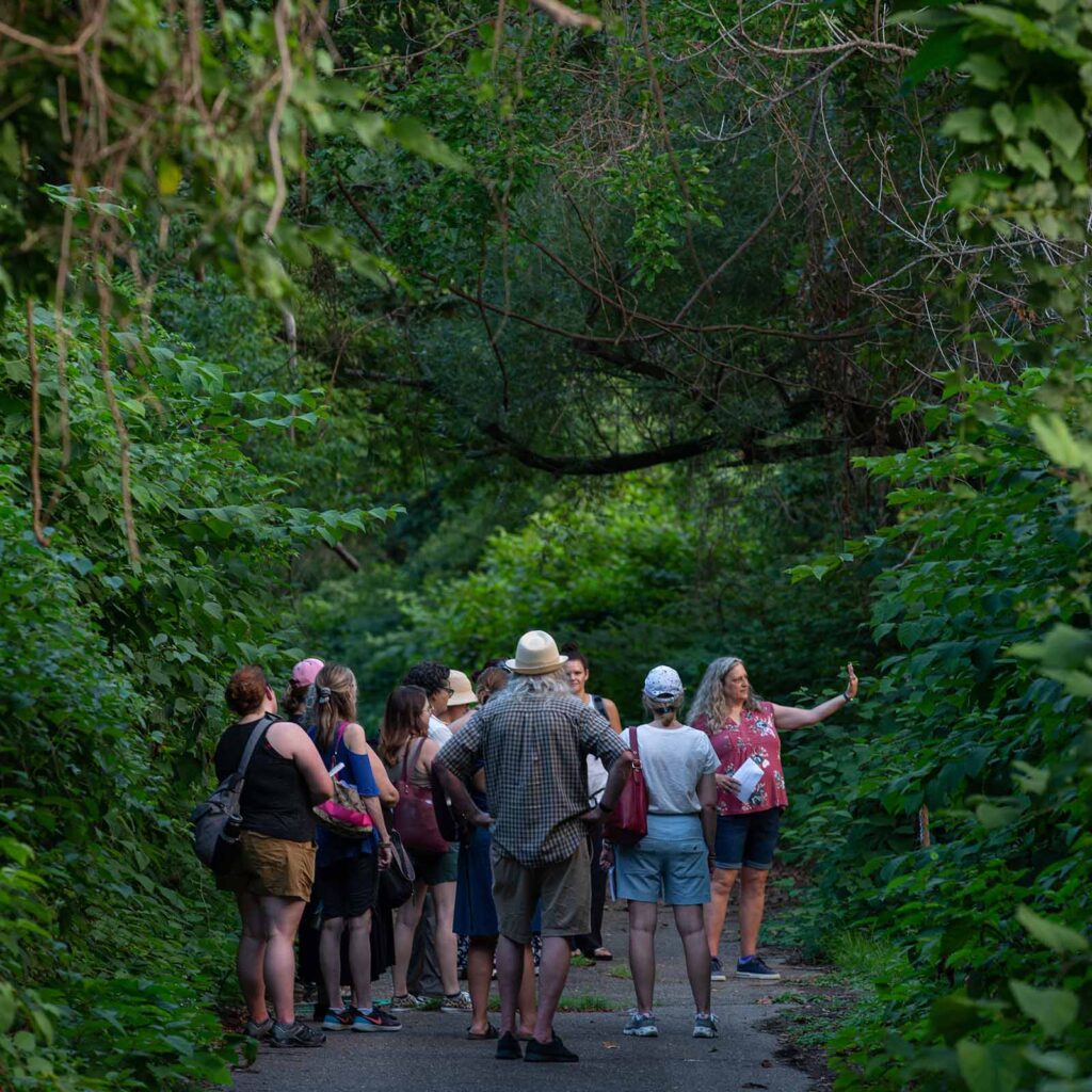 A group on a path in the woods. 