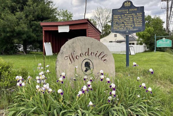 A stone sign situated in the grass with flowers around it reads Woodville.