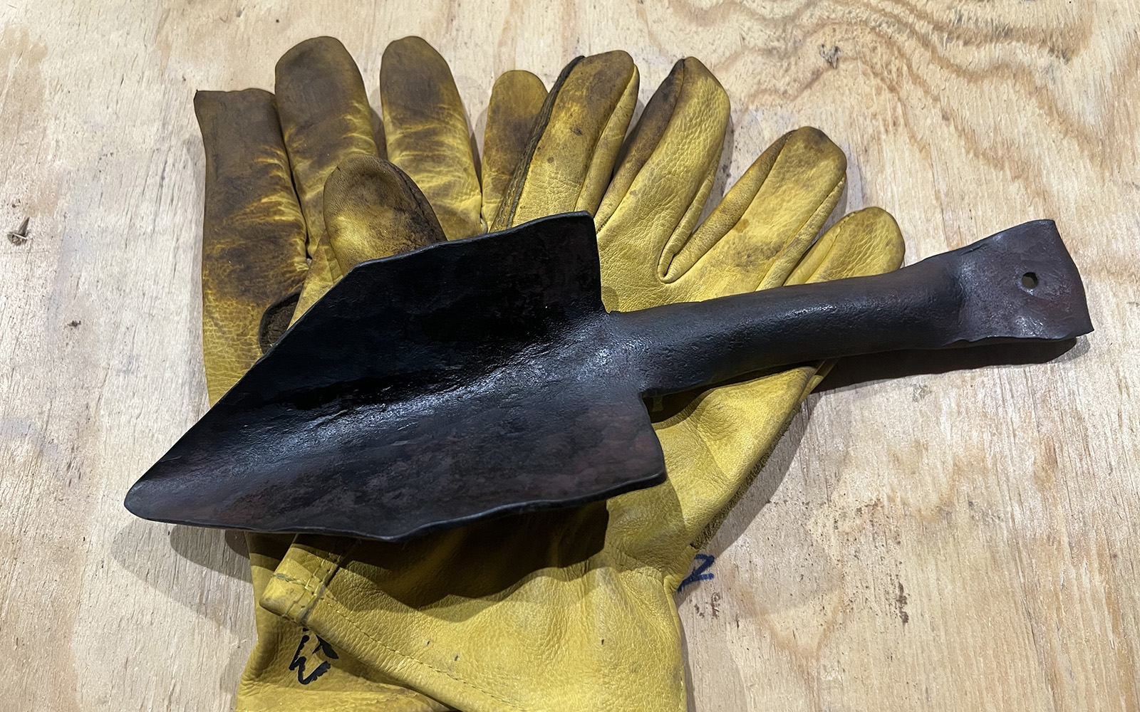 IMG_7530 image shows a forged trowel and work gloves.